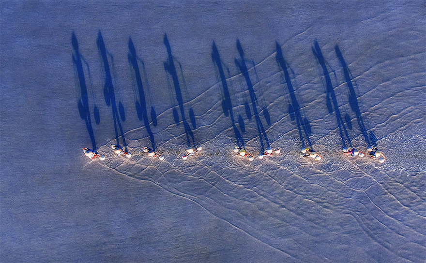 Second Prize Winner In Fun Category, "Burden Salt Harvest"