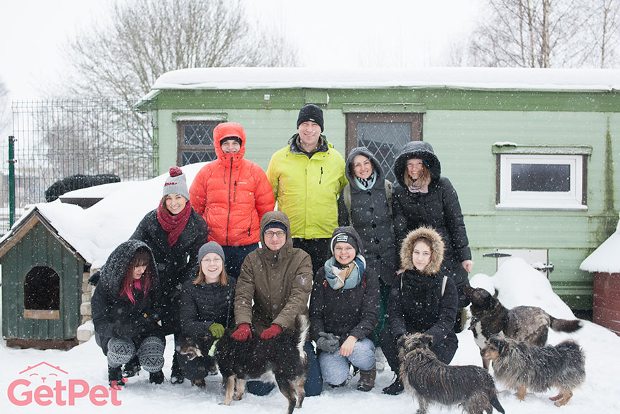 Getpet: Our Tinder-Inspired App That Connects Dogs With Their Future Owners Getpet: Our Tinder-Inspired App That Connects Dogs With Their Future Owners