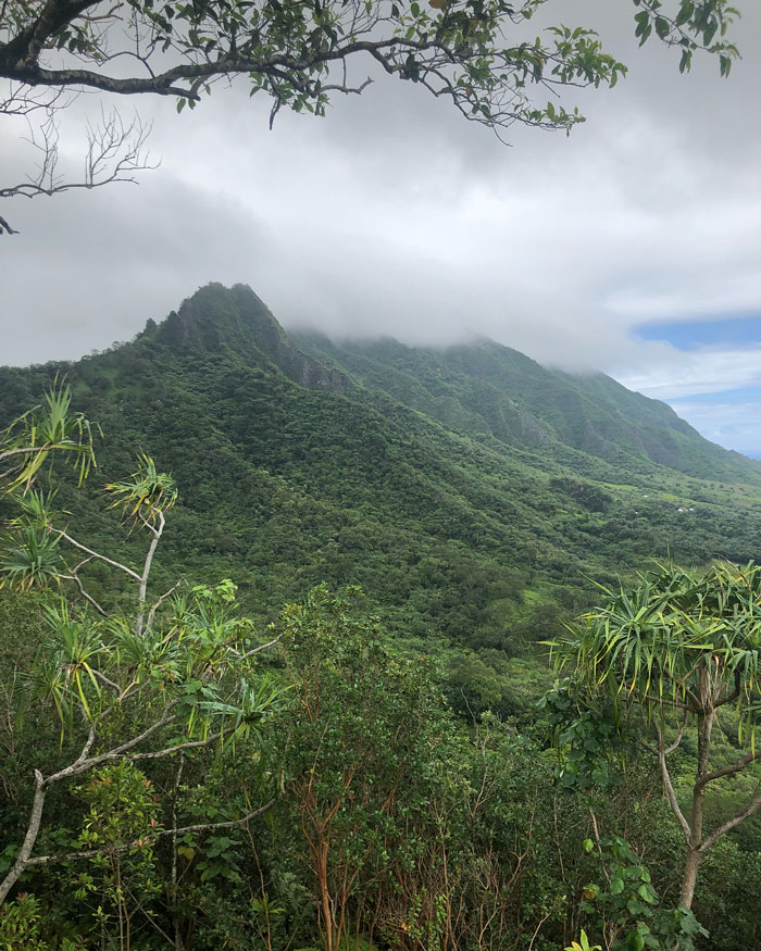 Jason Momoa Shows Off His Impressive Collection Of Leica Cameras And It's Making Photographers Jealous Jason Momoa Shows Off His Impressive Collection Of Leica Cameras And It's Making Photographers Jealous