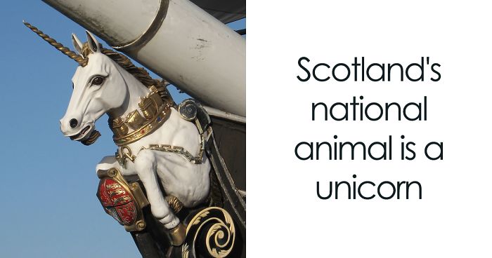 30 Surprising Facts That Are Actually True