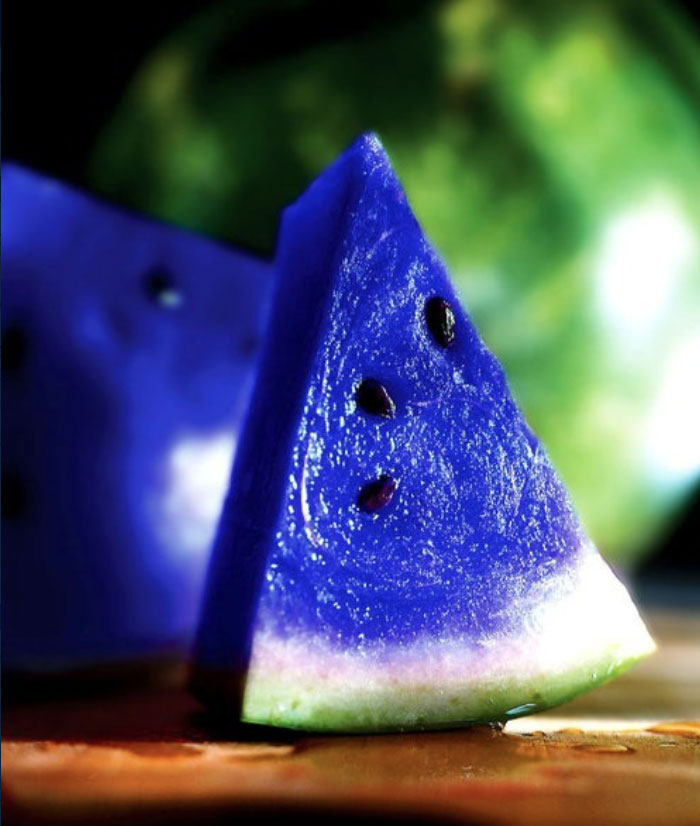 Someone Posts Pic Of Rare ‘Moonmelon’, But People Already Know It’s Fake So They Respond With Hilarious Creations Of Their Own Someone Posts Pic Of Rare ‘Moonmelon’, But People Already Know It’s Fake So They Respond With Hilarious Creations Of Their Own