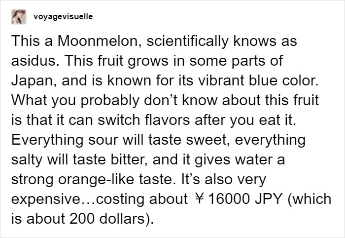 Someone Posts Pic Of Rare ‘Moonmelon’, But People Already Know It’s Fake So They Respond With Hilarious Creations Of Their Own Someone Posts Pic Of Rare ‘Moonmelon’, But People Already Know It’s Fake So They Respond With Hilarious Creations Of Their Own
