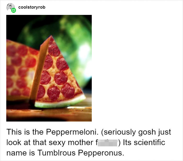 Someone Posts Pic Of Rare ‘Moonmelon’, But People Already Know It’s Fake So They Respond With Hilarious Creations Of Their Own Someone Posts Pic Of Rare ‘Moonmelon’, But People Already Know It’s Fake So They Respond With Hilarious Creations Of Their Own