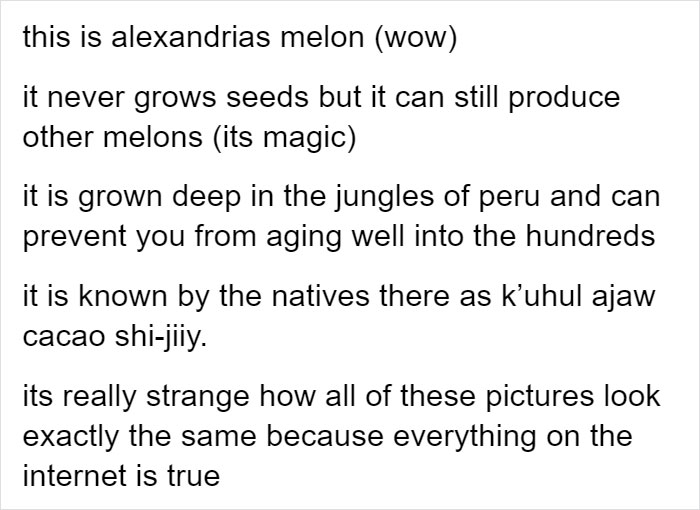 Someone Posts Pic Of Rare ‘Moonmelon’, But People Already Know It’s Fake So They Respond With Hilarious Creations Of Their Own Someone Posts Pic Of Rare ‘Moonmelon’, But People Already Know It’s Fake So They Respond With Hilarious Creations Of Their Own