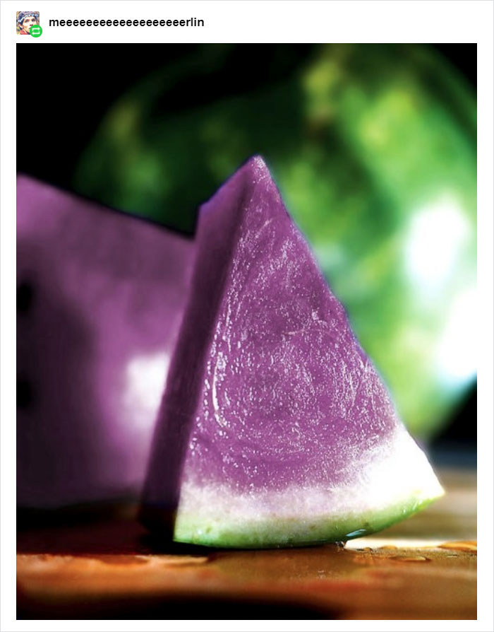 Someone Posts Pic Of Rare ‘Moonmelon’, But People Already Know It’s Fake So They Respond With Hilarious Creations Of Their Own Someone Posts Pic Of Rare ‘Moonmelon’, But People Already Know It’s Fake So They Respond With Hilarious Creations Of Their Own