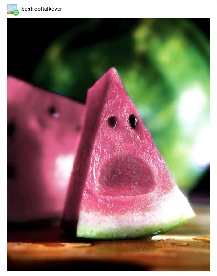 Someone Posts Pic Of Rare ‘Moonmelon’, But People Already Know It’s Fake So They Respond With Hilarious Creations Of Their Own Someone Posts Pic Of Rare ‘Moonmelon’, But People Already Know It’s Fake So They Respond With Hilarious Creations Of Their Own