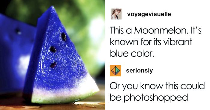 Someone Posts Pic Of Rare ‘Moonmelon’, But People Already Know It’s Fake So They Respond With Hilarious Creations Of Their Own