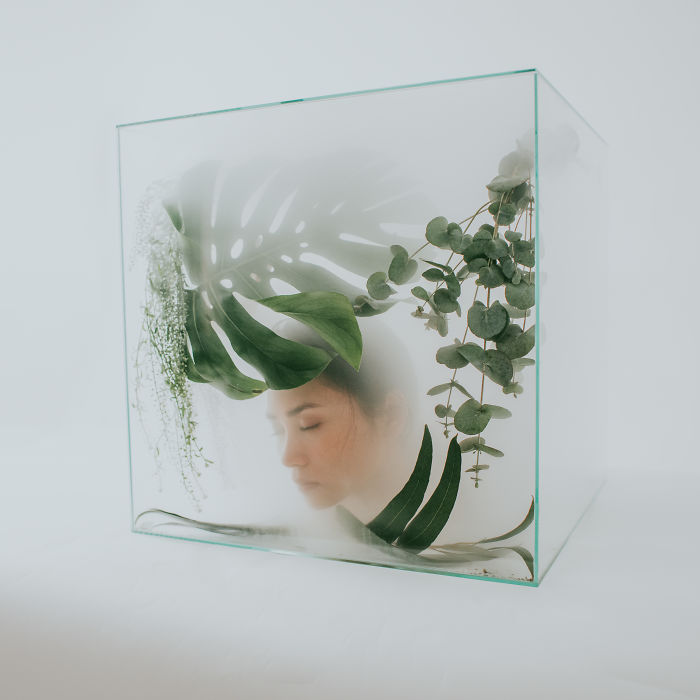 Fragil – Story Of My Life