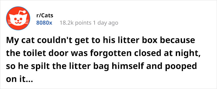 Cat Splits Open A Litter Bag To Poop After He Finds Door To His Litter Box Shut, People React With Hilarious Comments Cat Splits Open A Litter Bag To Poop After He Finds Door To His Litter Box Shut, People React With Hilarious Comments