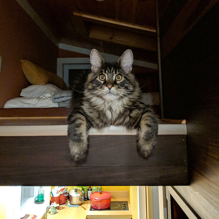 Andy Guarding The Loft