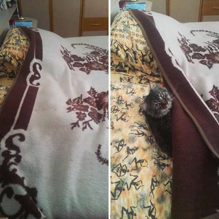 I Was Looking For Him For About Two Hours Like Crazy