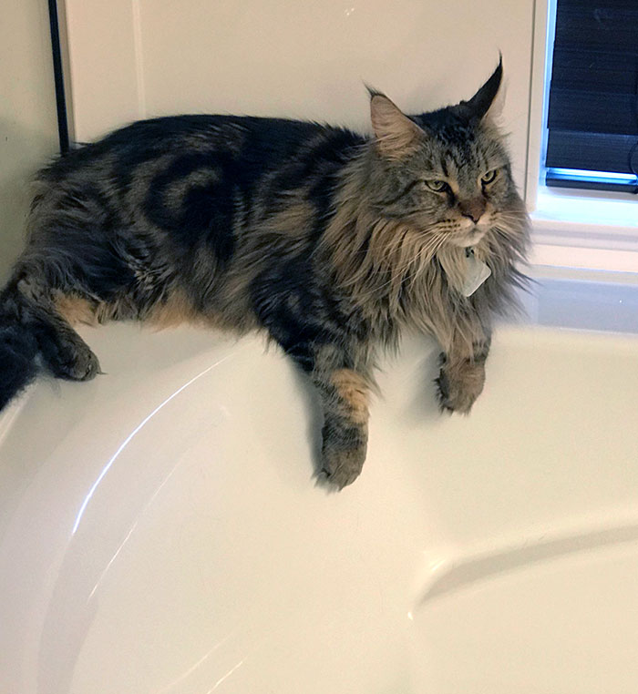 Maybe I’ll Go For A Swim Maybe I Won’t