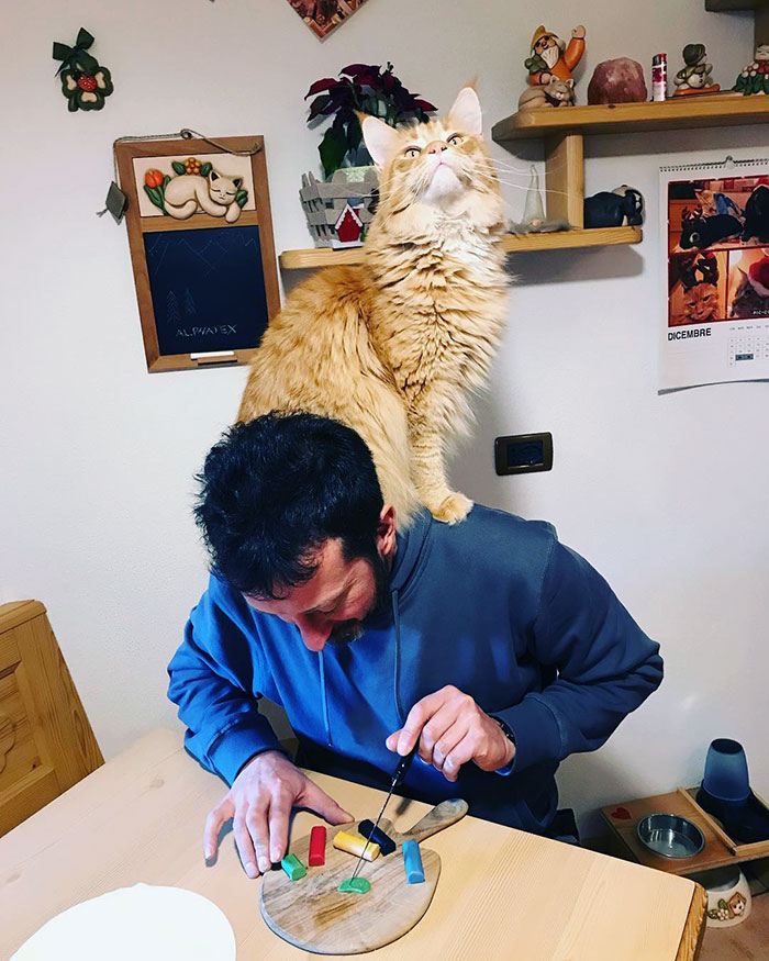 My Maine Coon Is Always Helping