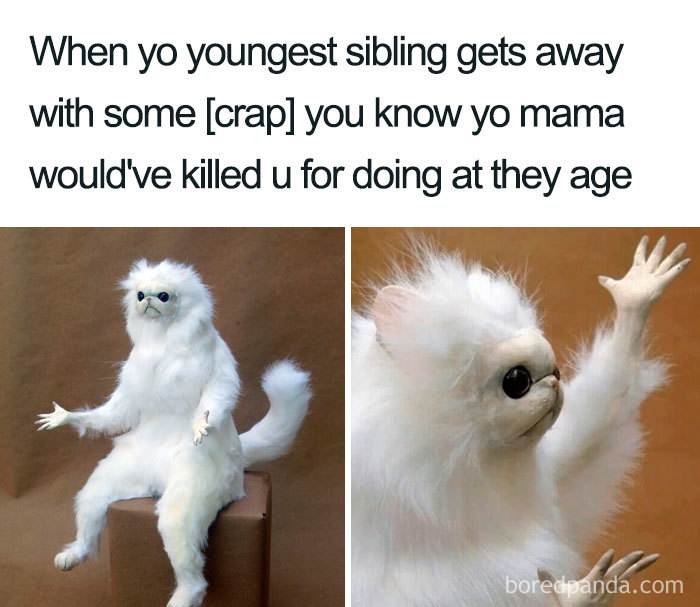 White cat meme about youngest sibling getting away with things, expressing frustration humorously.