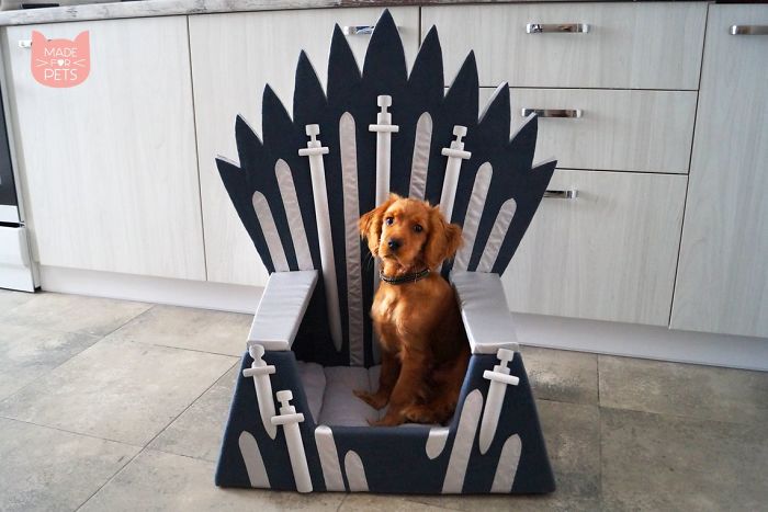 Handmade Game Of Thrones Beds For Pets Who Rule The Household
