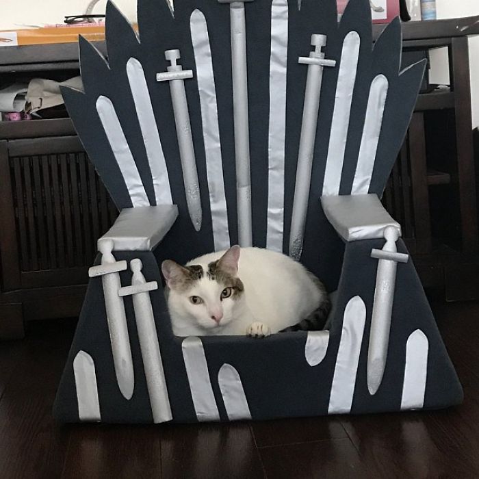 Handmade Game Of Thrones Beds For Pets Who Rule The Household