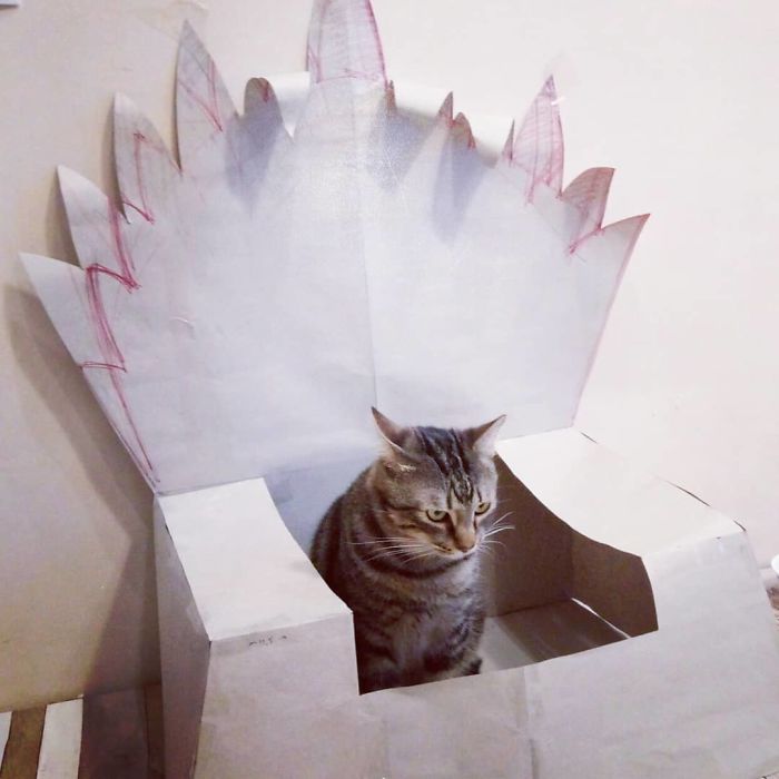 Handmade Game Of Thrones Beds For Pets Who Rule The Household