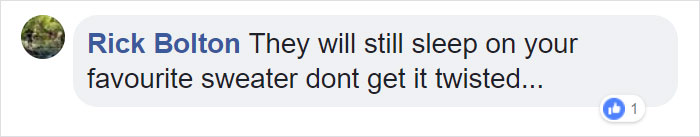 Handmade Game Of Thrones Beds For Pets Who Rule The Household