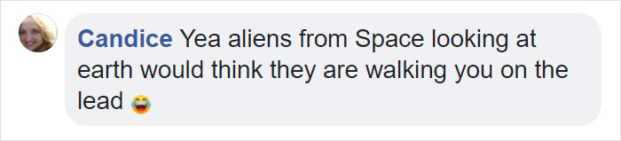 Handmade Game Of Thrones Beds For Pets Who Rule The Household