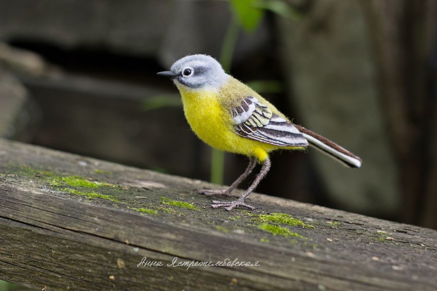 I Started Making Toys From Wool 3 Years Ago, Here Are 28 Of My Best Works I Started Making Toys From Wool 3 Years Ago, Here Are 28 Of My Best Works