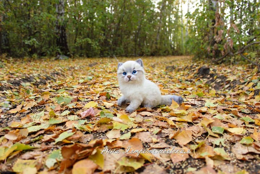 I Started Making Toys From Wool 3 Years Ago, Here Are 28 Of My Best Works I Started Making Toys From Wool 3 Years Ago, Here Are 28 Of My Best Works