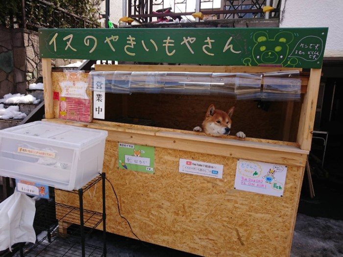 This Roast Potato Store In Japan Is Managed By A Shiba