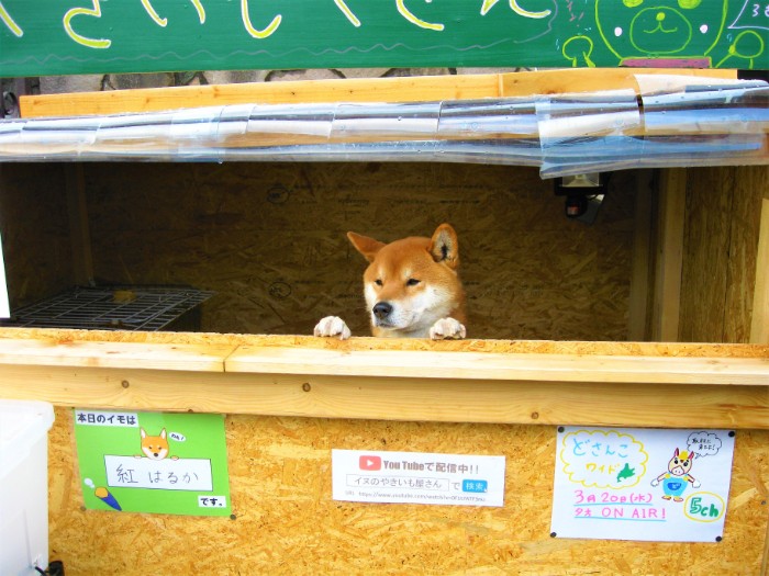 This Roast Potato Store In Japan Is Managed By A Shiba