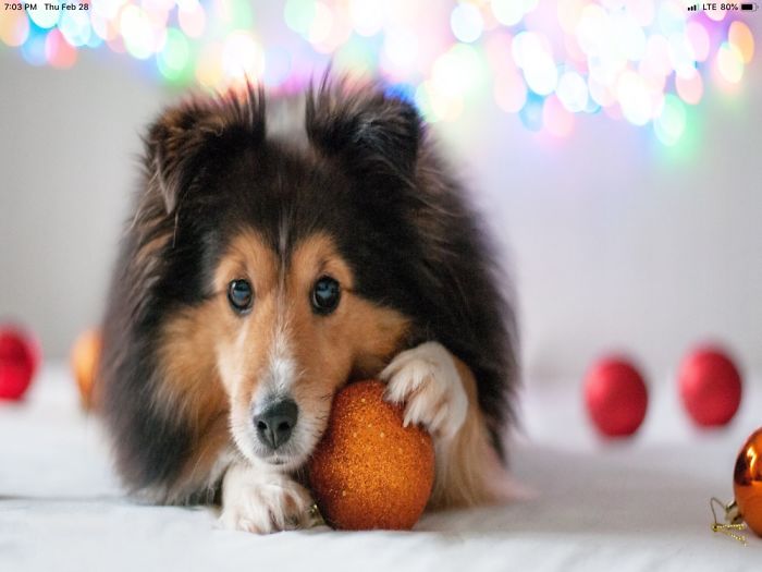 6 Cute Photos Of Animals That Will Make You Say &ldquo;Aww&rdquo;