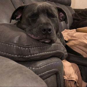 jennyne-pinter avatar