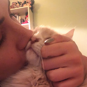 neylul-kabakci avatar