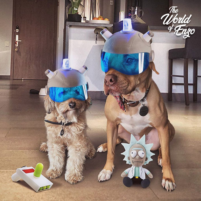 Oh, You Do Cosplay Huh? Hold My Beer!