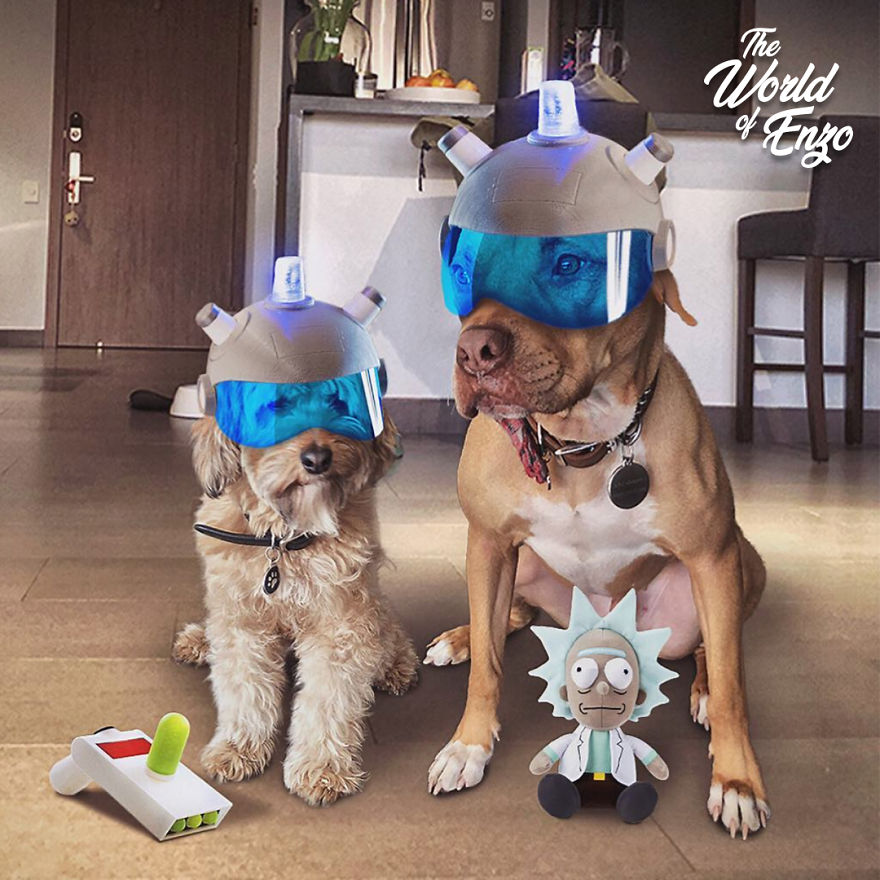 Oh, You Do Cosplay Huh? Hold My Beer! Oh, You Do Cosplay Huh? Hold My Beer!