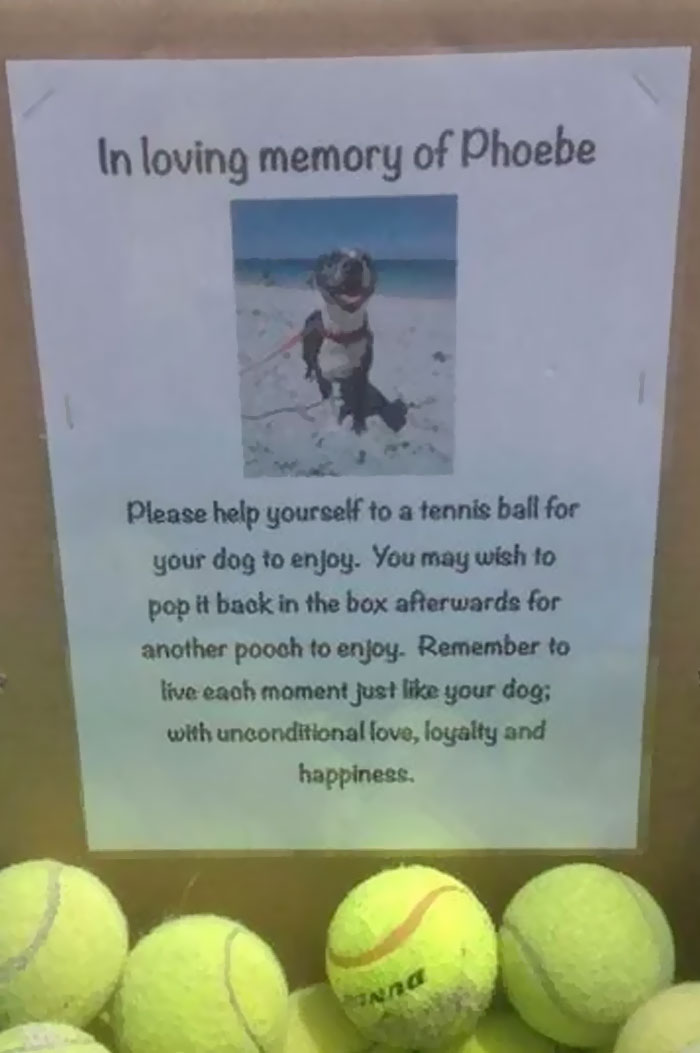 I Found This At My Local Dog Beach Today