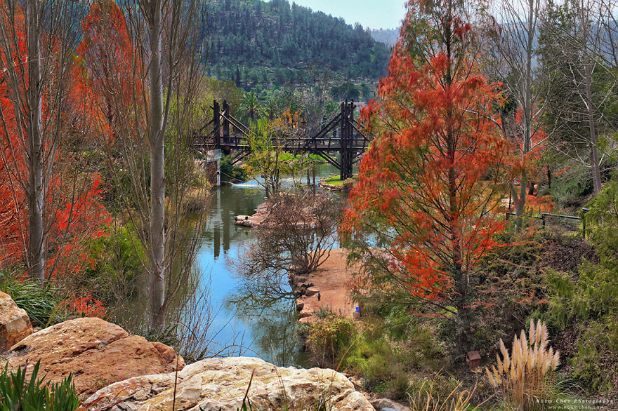I Show Jerusalem From A Different Perspective Behind The Lens