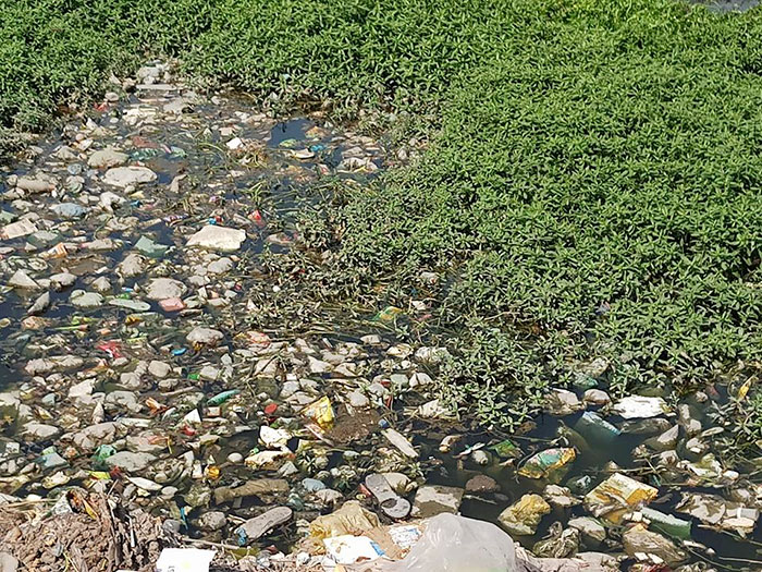 A 26 Y.O Man In India Is Changing The World By Example As He Revives Dead Lakes