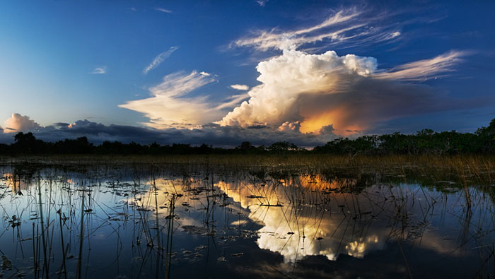 Everglades National Park, Florida