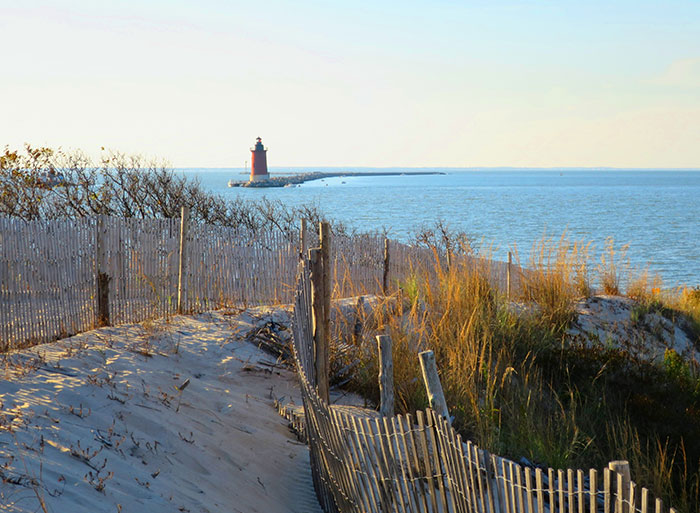 Cape Henlopen State Park, Delaware