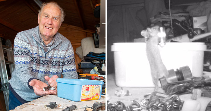 «Pensaba que me estaba volviendo loco»: Este jubilado descubre que un ratón limpia su cobertizo con una cámara de rastreo