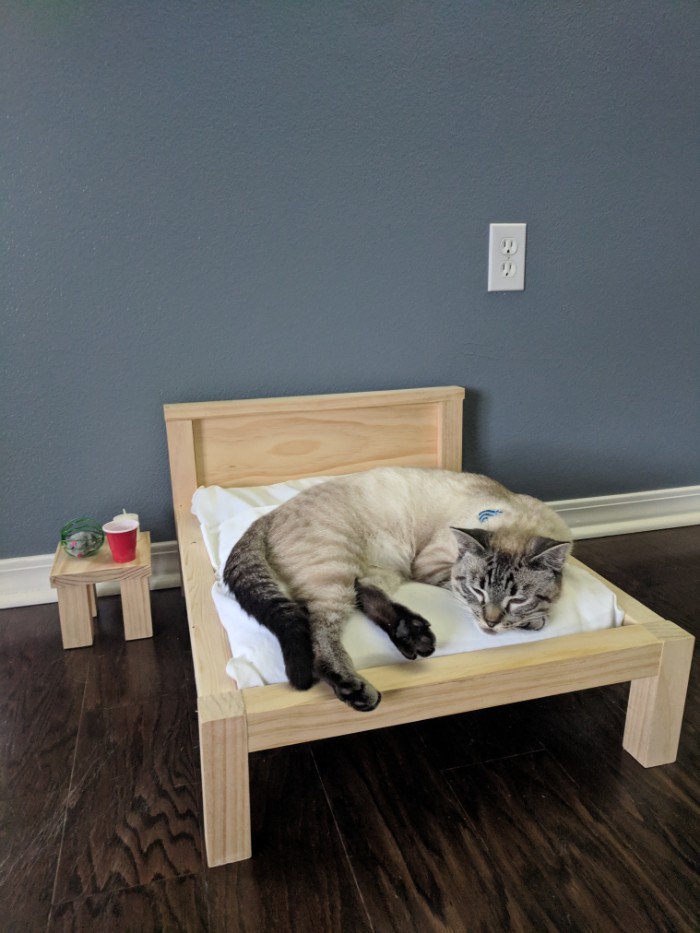 Wife Is Dying From Laughter After Finding Out The Bed Her Husband Was Building Is For The Cat, Not For Them