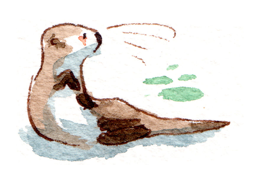 I Challenged Myself To Draw 101 Otters And Then Decided To Sculpt Them I Challenged Myself To Draw 101 Otters And Then Decided To Sculpt Them