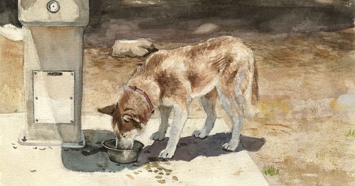 I Use Watercolor To Capture Moments Of My Life To Remind Myself Of The Beautiful Things Around Me