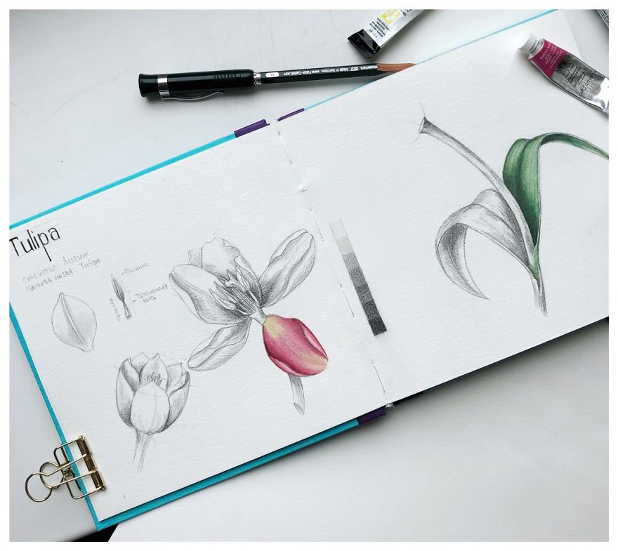 How I Found My Dream Job While Expecting My Third Child How I Found My Dream Job While Expecting My Third Child