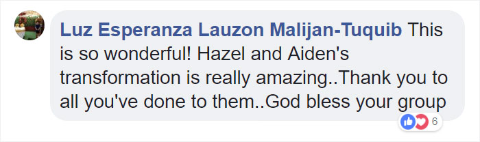 These Abused Dogs Were Rescued From The Streets By A Shelter And Made A Spectacular Recovery