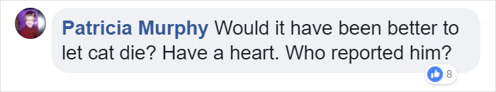 Verizon Suspends Worker Who Rescued Cat Using His Work Equipment