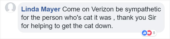 Verizon Suspends Worker Who Rescued Cat Using His Work Equipment
