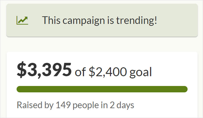 Verizon Suspends Worker Who Rescued Cat Using His Work Equipment Verizon Suspends Worker Who Rescued Cat Using His Work Equipment