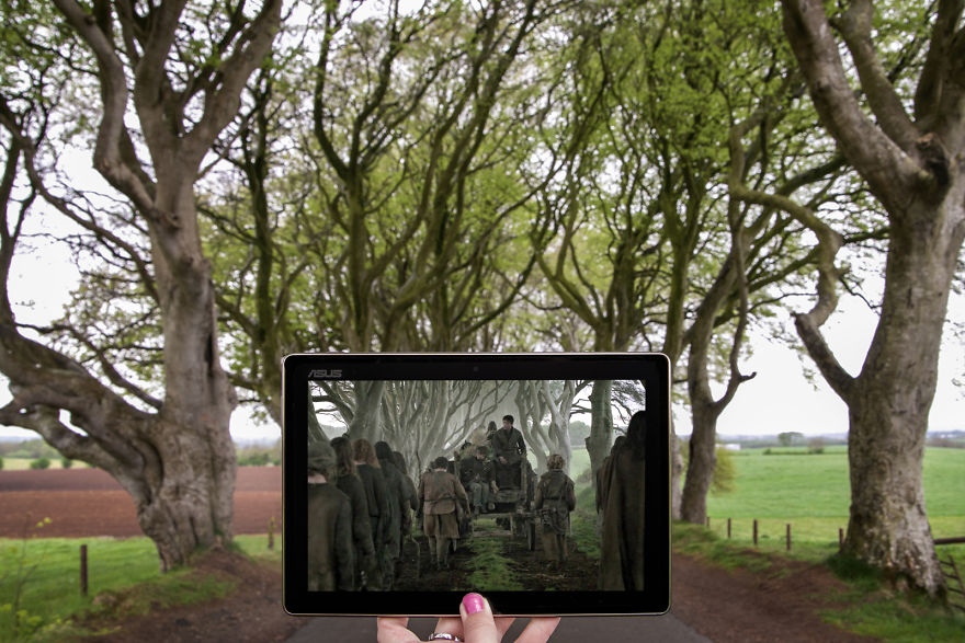 King’s Road Aka Dark Hedges, Northern Ireland