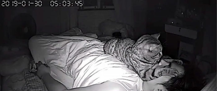Man Sets Up Secret Camera To Record What His Cat Does At Night And It's Hilarious