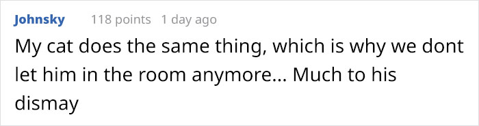 Man Sets Up Secret Camera To Record What His Cat Does At Night And It's Hilarious