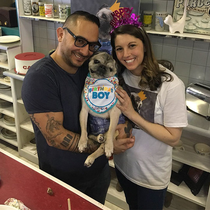 This Dog Has Separation Anxiety And Can't Sleep Without His Human, So The Owner Bought Him A Mannequin